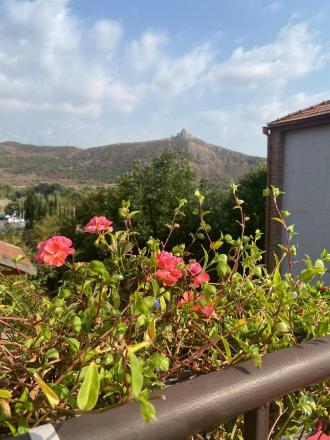 Tatin - Hotel & Cafe In Mtskheta Luaran gambar